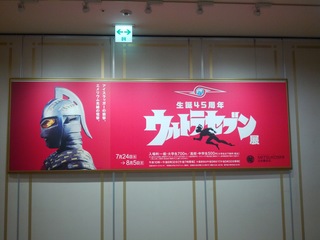 IMG_20130731_184552.jpg